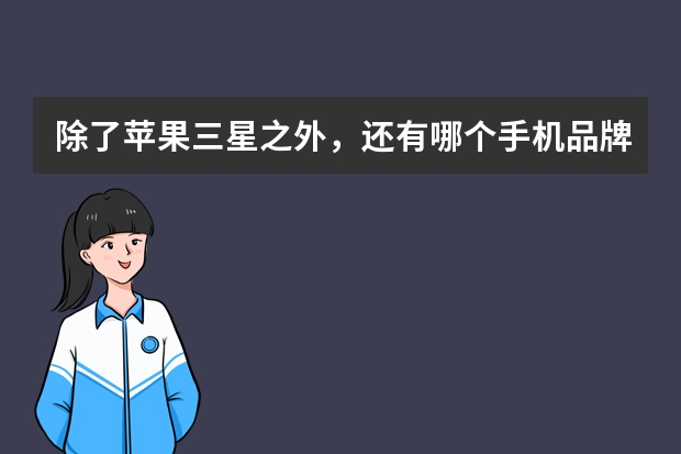 除了苹果三星之外，还有哪个手机品牌高端旗舰做得好？