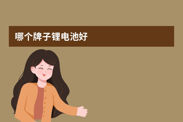 哪个牌子锂电池好