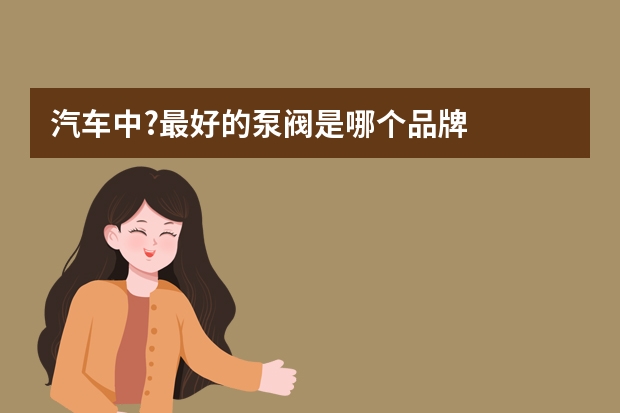 汽车中?最好的泵阀是哪个品牌