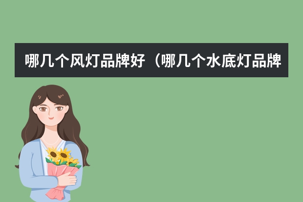 哪几个风灯品牌好（哪几个水底灯品牌好）