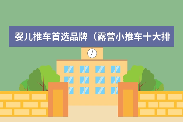 婴儿推车首选品牌（露营小推车十大排行榜）