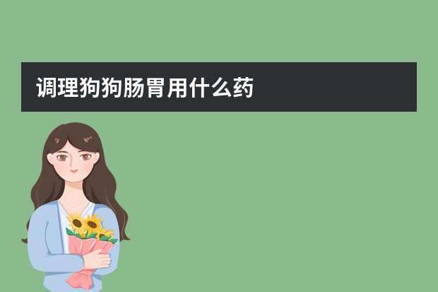 调理狗狗肠胃用什么药