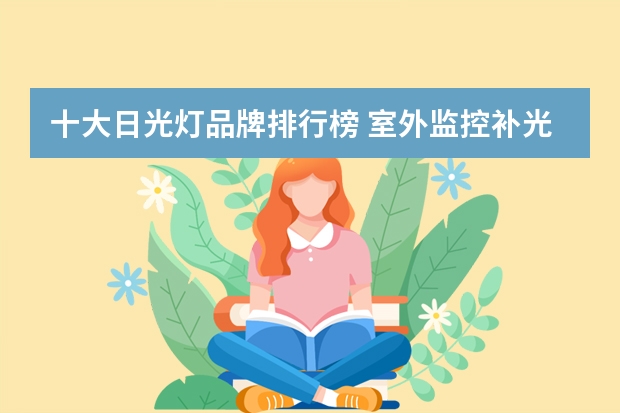 十大日光灯品牌排行榜 室外监控补光用投光灯还是泛光灯好