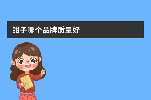 钳子哪个品牌质量好