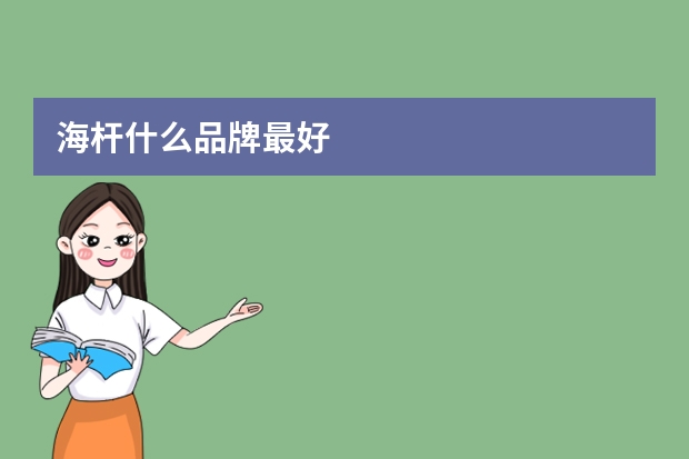 海杆什么品牌最好