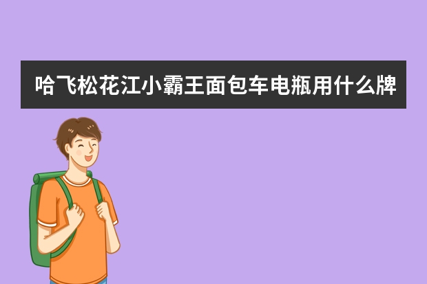 哈飞松花江小霸王面包车电瓶用什么牌的