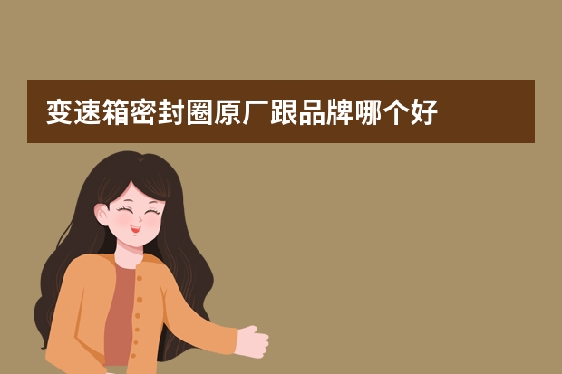 变速箱密封圈原厂跟品牌哪个好