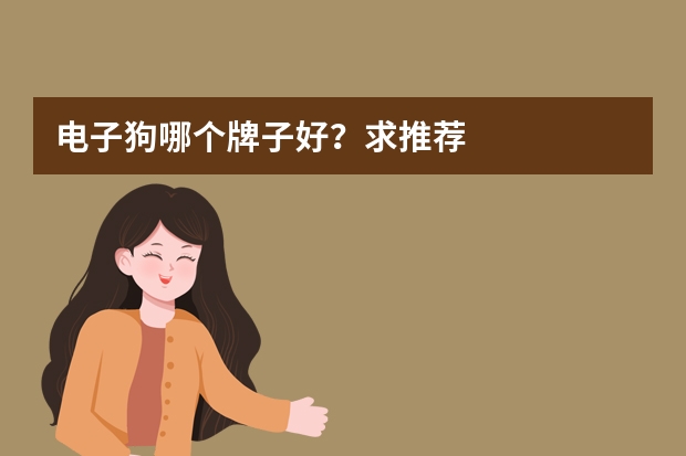 电子狗哪个牌子好？求推荐