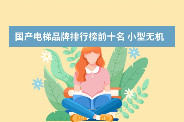 国产电梯品牌排行榜前十名 小型无机房电梯哪家的好？