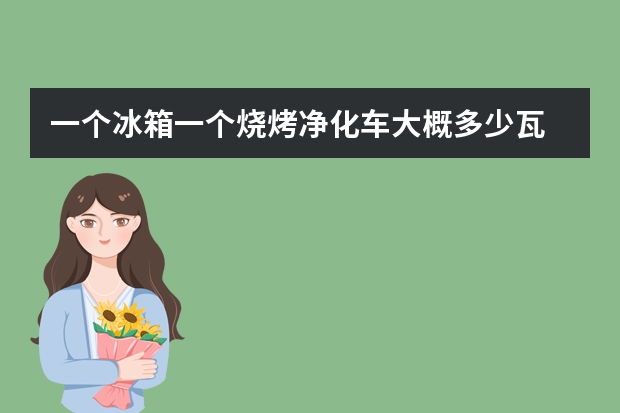 一个冰箱一个烧烤净化车大概多少瓦
