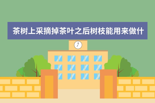 茶树上采摘掉茶叶之后树枝能用来做什么，茶树精油是从茶树枝上提炼的吗