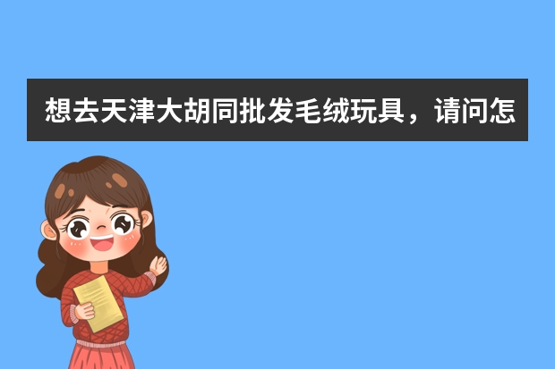 想去天津大胡同批发毛绒玩具，请问怎么走？