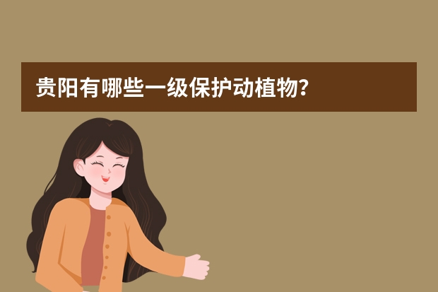 贵阳有哪些一级保护动植物？