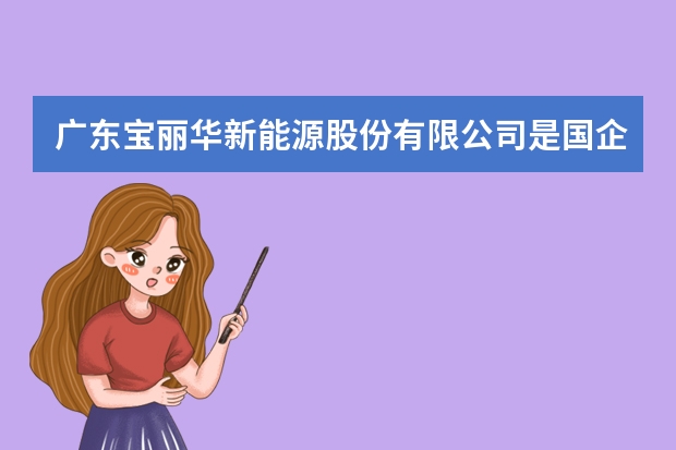 广东宝丽华新能源股份有限公司是国企吗