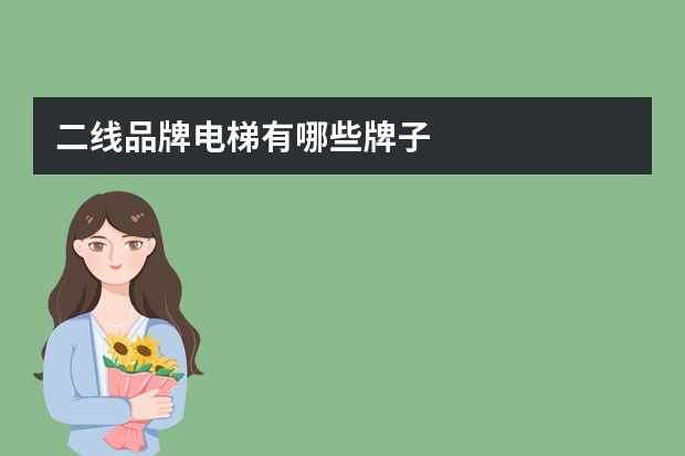 二线品牌电梯有哪些牌子