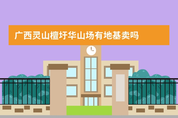广西灵山檀圩华山场有地基卖吗