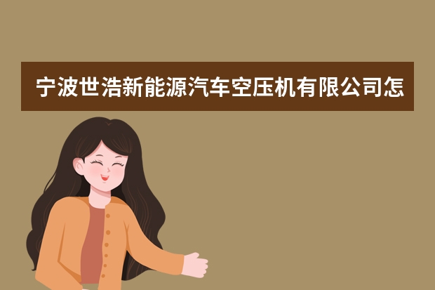 宁波世浩新能源汽车空压机有限公司怎么样？