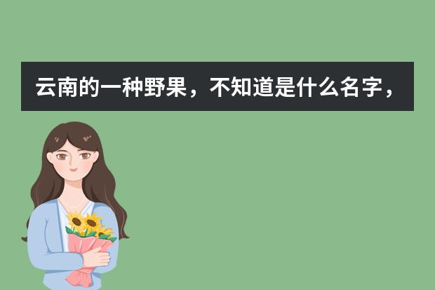云南的一种野果,不知道是什么名字,味道有甜味,果汁紫黑色,会把手染色
