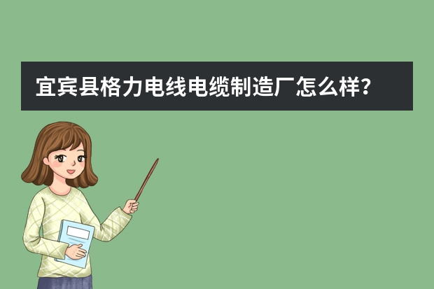 宜宾县格力电线电缆制造厂怎么样？