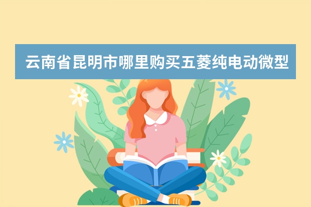 云南省昆明市哪里购买五菱纯电动微型小货车