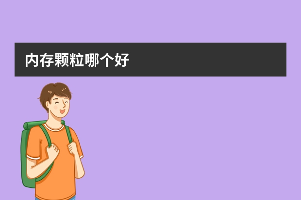 内存颗粒哪个好
