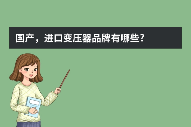 国产，进口变压器品牌有哪些?