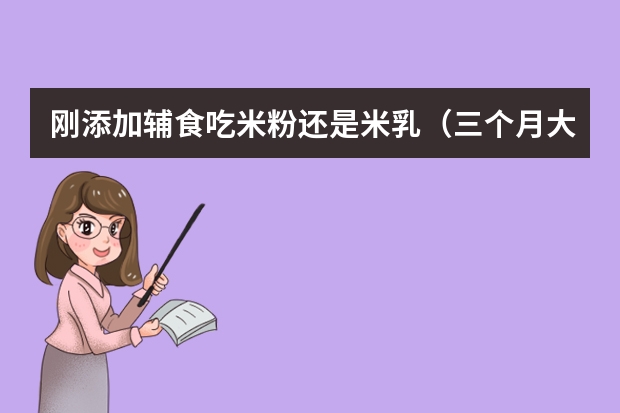 刚添加辅食吃米粉还是米乳（三个月大的宝宝辅食吃米乳好还是吃米粉好）