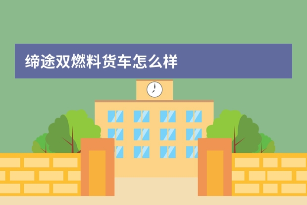 缔途双燃料货车怎么样