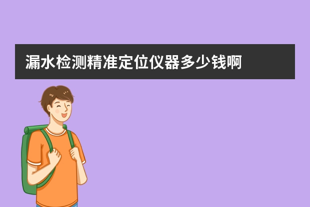 漏水检测精准定位仪器多少钱啊
