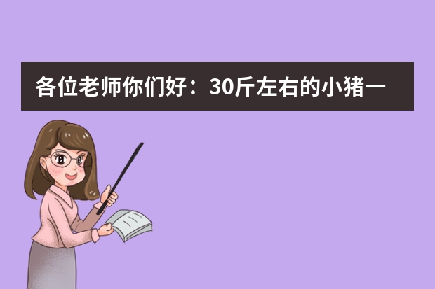 各位老师你们好：30斤左右的小猪一顿喂多少饲料和玉米面？